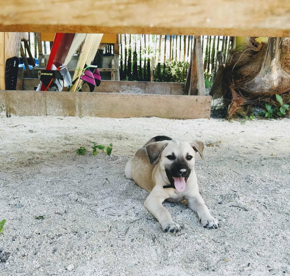 Mao Mao Surf Villa เจเนอรัลลูนา ภายนอก รูปภาพ
